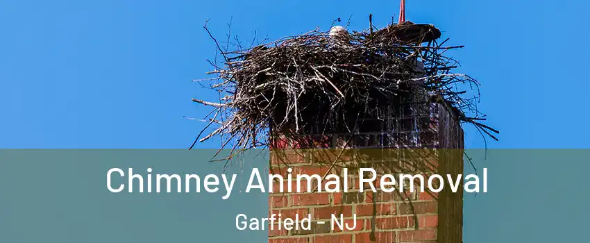  Chimney Animal Removal Garfield - NJ