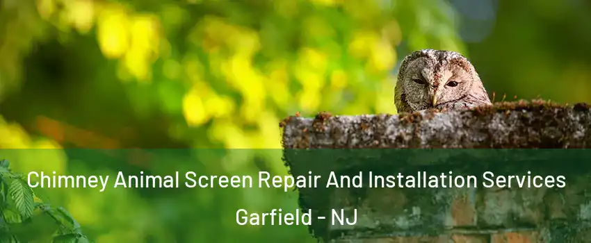  Chimney Animal Screen Repair And Installation Services Garfield - NJ