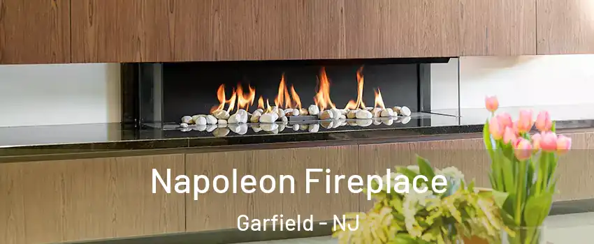  Napoleon Fireplace Garfield - NJ